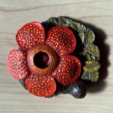 Rafflesia National Museum of