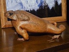 Tassidermia rospo canna