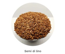 semi di lino 1 kg - per creare