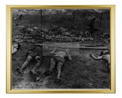 Guerra del vietnam vietcong - del,