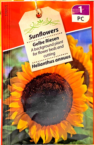 Semi girasole varietà - di,