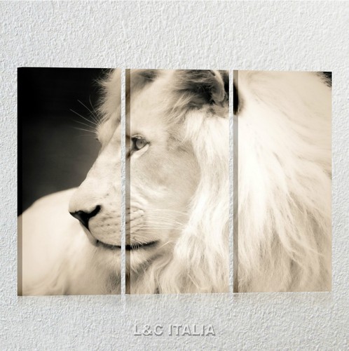 Leone quadri moderni - leone, 3