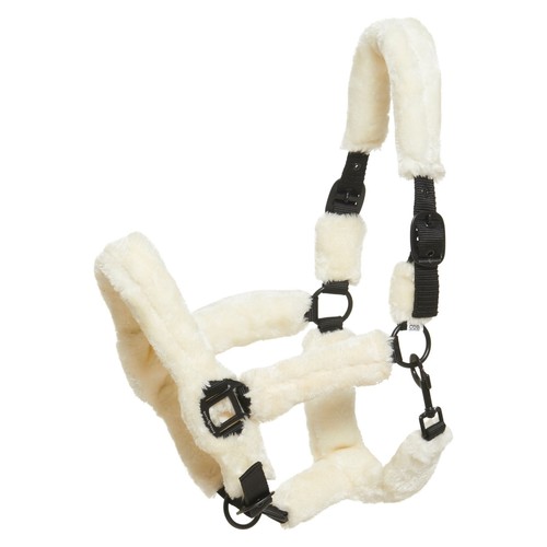 Horse guard capestro con - horse,