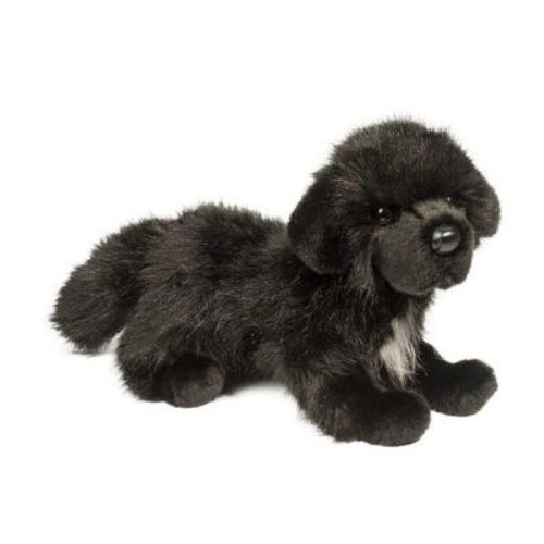 Terranova dog comfort - terranova, &
