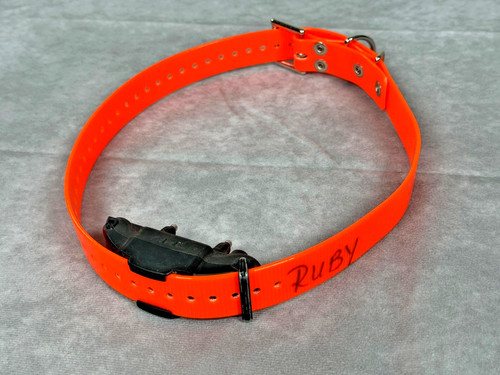 Dogtra arc collare - arc, ricevitore