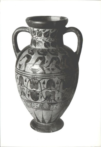 Orvieto amphora black figures - orvieto,