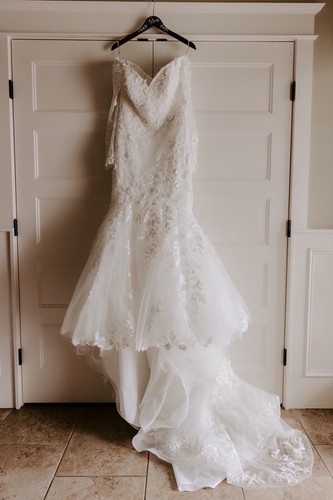 Stunning wedding dress - stunning,