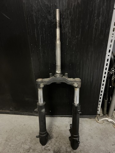 F12r forcella anteriore - ac,