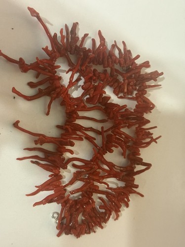 Collana corallo rosso - collana,