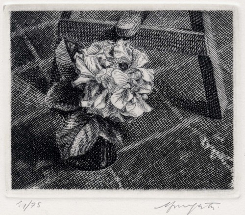 Mongatti vairo fiore - , “fiore