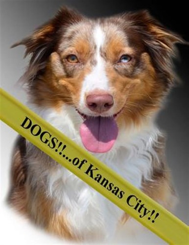 Dogs of kansas city - :,