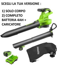GREENWORKS SOFFIATORE