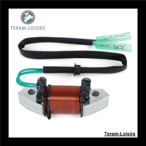 Stator alternateur pour - stator,