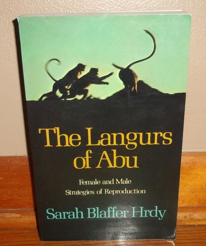 The langurs abu female - the, of