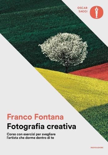 Libri franco fontana - libri,