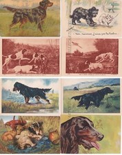 ANIMALI: Cani - Varie Razze  8 cartoline