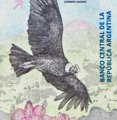Argentine billet pesos - argentine,