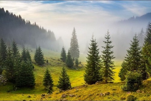 Paesaggio natura locandina - natura,