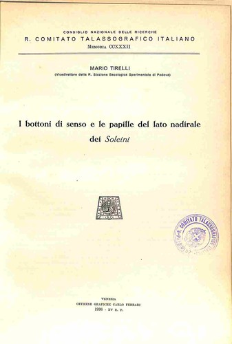 Tirelli mario bottoni - tirelli,