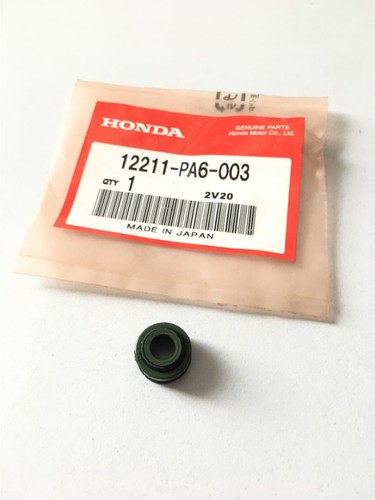 12211 pa6 003 paraolio stelo - paraolio,