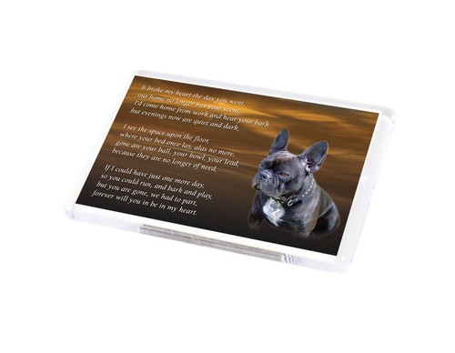 French bulldog dog - dog, fridge