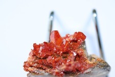 VANADINITE con cristalli rossi lucenti 3x3x2 gr 35 Marocco MIBLADEN