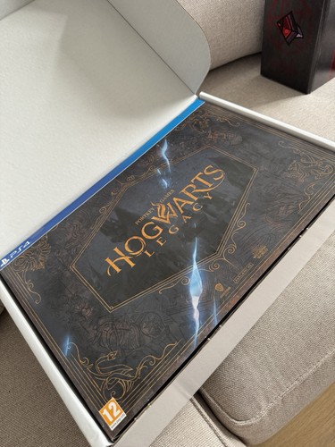 Hogwarts legacy - hogwarts,