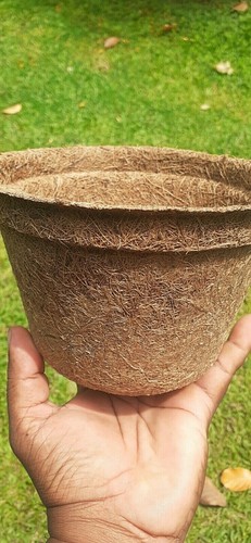 Vaso fiori cocco naturale - fiori,