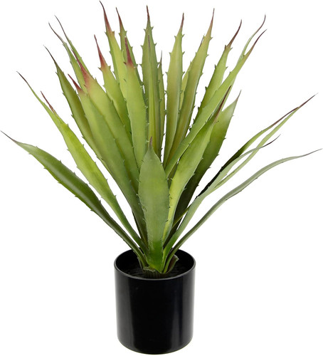 Agave artificiale aloe - agave, vera