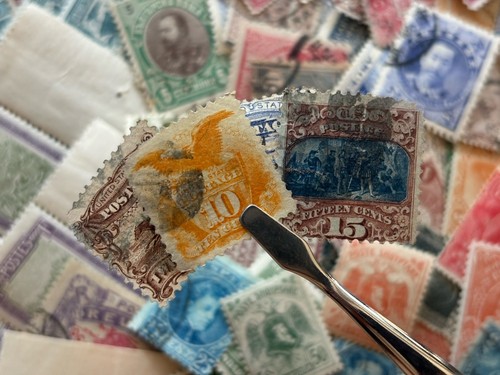Collezione francobolli tutto
