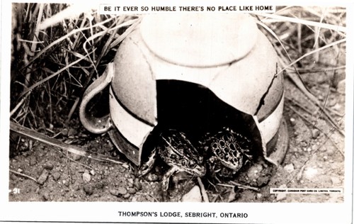Real photo postcard - real, ontario