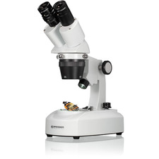 5803100 Stereomicroscopio