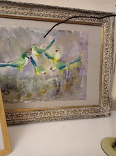  I pappagalli, uccelli, birds