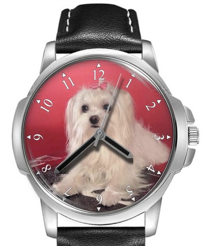 Orologio polso cane maltese - polso,