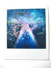 N. ARAKI: POLAROID ORIGINALE