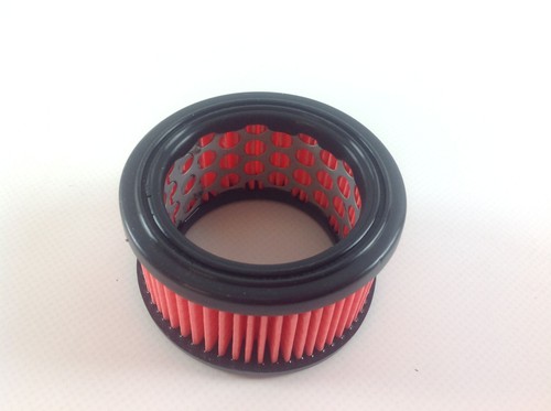 Filtro aria echo - echo, motore