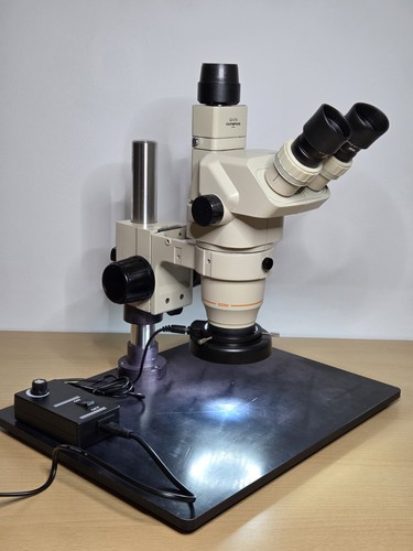 Microscopio stereo trinoculare