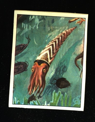 Animali preistorici - animali, (1974)