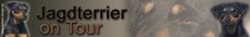 Adesivo TERRIER CACCIA TEDESCO