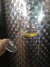 Vino vermentino IN TANICA PET