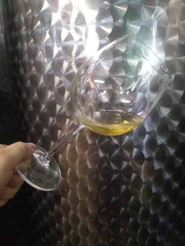 Vino vermentino tanica pet - vino,