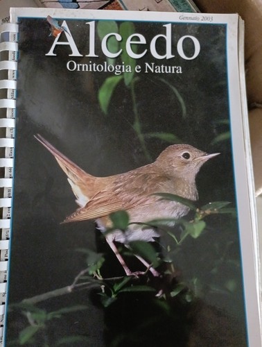 Annate intere alcedo - annate,