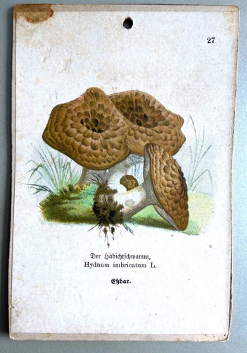 Vecchio litografia lavagna - vecchio,