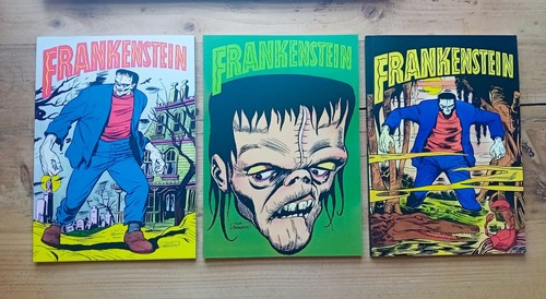 Frankenstein graphic novels - frankenstein, novels-