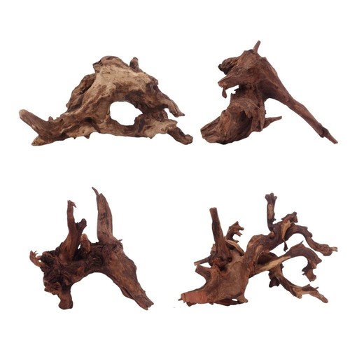 Aquaone driftwood radice - radice, di