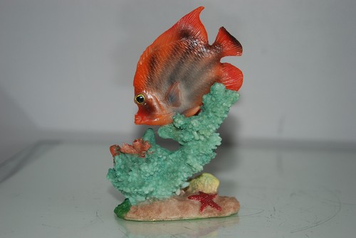Acquario pesce con - acquario,