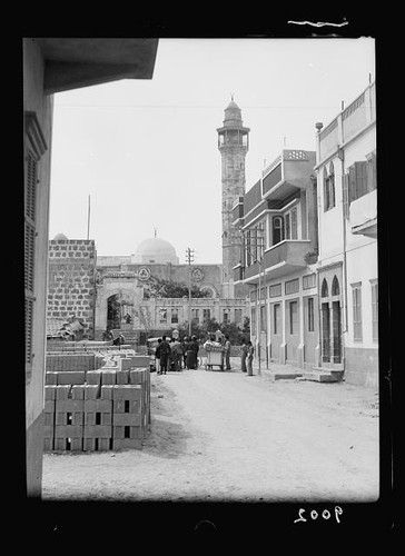 Disturbi della palestina - disturbi,