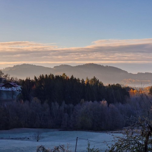 Breve vacanza foresta bavarese