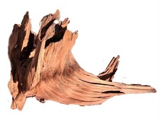 Beautiful! Natural Driftwood