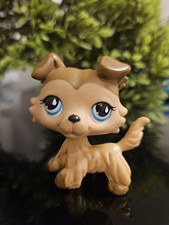 ✨️LPS Authentic Littlest